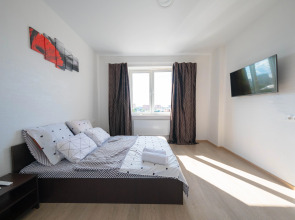 Апартаменты Евродвушка с новым ремонтом в центре города