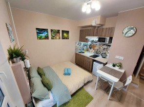 Апартаменты Sky Studio