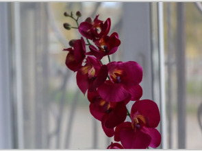 Мини-отель Абажур