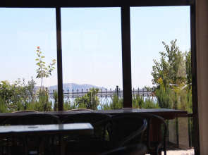 Апартаменты Авокадо