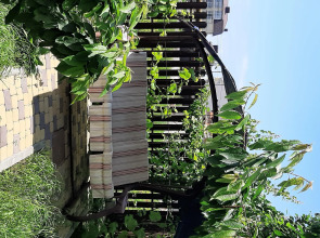 Guest House on Aivazovskogo 38