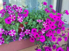 Квартира у Метро Ленинский пр.