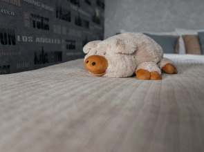 Квартира Студия у моста