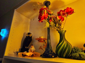 Апартаменты Люкс на Васильевском острове