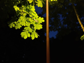 Апартаменты PROuyt