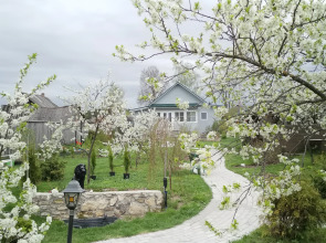 Дом для перезагрузки от города