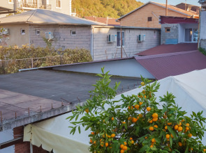 Меблированные комнаты Никус