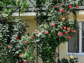 Guest House on Aivazovskogo 38