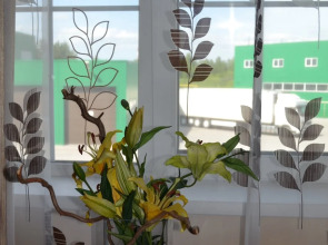 Мини-отель У Петровича