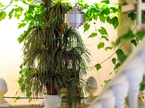 Гостевой дом Панорама