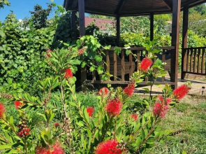 База отдыха San Siro cottage house