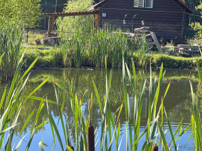 База отдыха Березовка