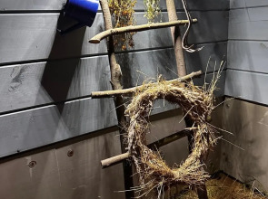 Частный дом АртДача