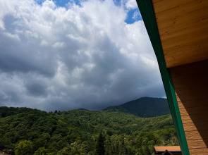 Апартаменты Green Berg 22