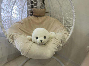 Квартира в сердце Байкальска