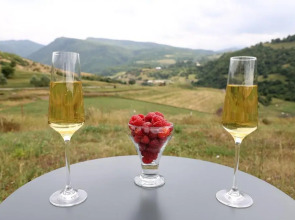 Концепт-отель by COAF