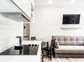 Апартаменты PASHk INN на Белинского 30 1