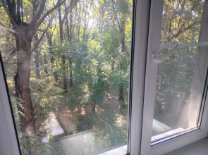 Квартира у Дубовой рощи Петра I