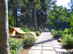 Санаторий Лес