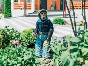 Гостевой дом "Огни Хаджоха"