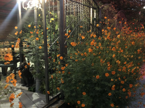 Гостевой дом Морская сказка