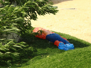 База отдыха Роза ветров