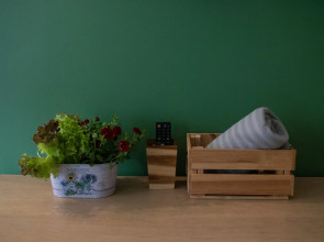 Апартаменты Alpine Castle 1