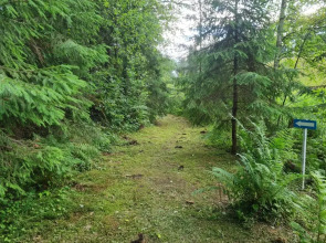 Апартаменты Валдай Пространство мечты 1