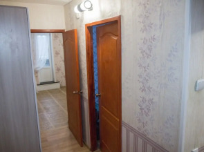 Двухкомнатные апартаменты у ДК Металлургов. Барбарис