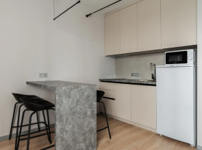 Квартира с Дизайнерским Ремонтом у Театра Кукол Экият