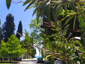 Вилла Dolce Vita Gudauta