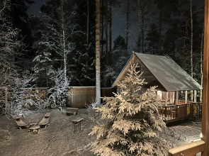 Частный дом у озера с террасой Сосновый дом