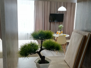 Апартаменты Студия 27