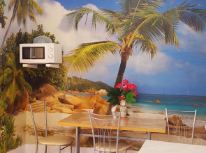 Гостевой дом Aelita