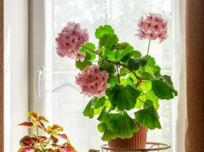 Апартаменты Кайрос с балконом