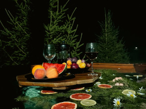 Частный дом Гостевой Панорама