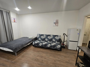 Апартаменты на проспекте Авиаторов Балтики 1к1