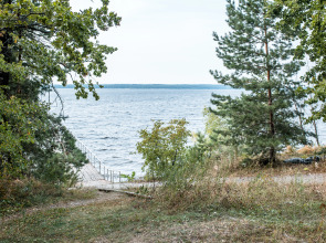 База Отдыха Сосновый Бор на Усе