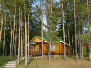 Отель Лесной