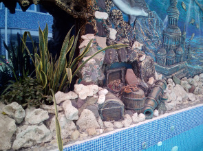 Гостевой Дом Золотая Рыбка