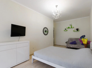 Апартаменты Амалиенау