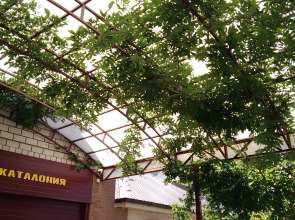 Гостевой Дом Каталония