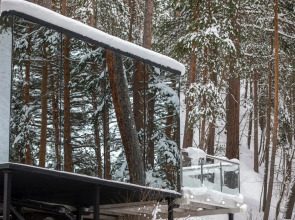 Evolution Guest House