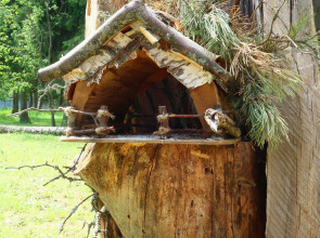 Мини-отель Дача