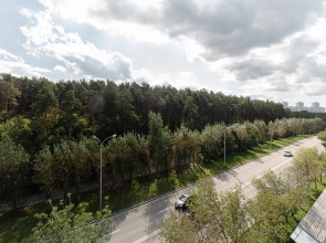 Квартира Солнечная возле парка в центральном районе города