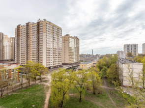 Квартира Евро-2 на Неве