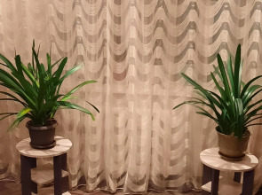 Квартира Апартаменты Ореховой