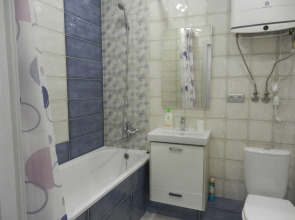 Апартаменты Однокомнатная квартира в центра Воронежа