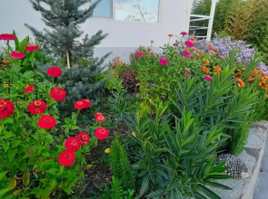 Гостевой дом Sun Hill