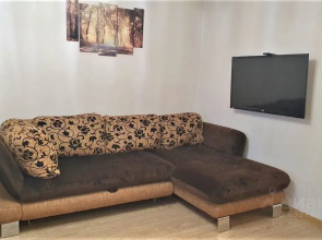 Квартира Войлок